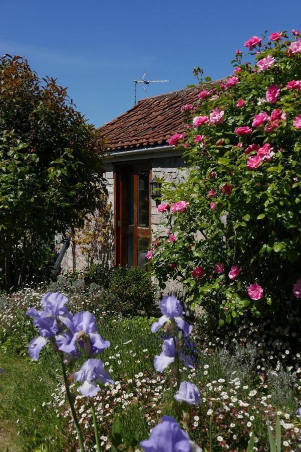 The Potting Shed, Self Contained, Detached Retreat In Shapwick Village Exterior foto